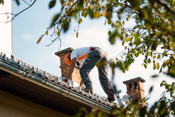 Sealant for Roof in Mount Vernon, MO